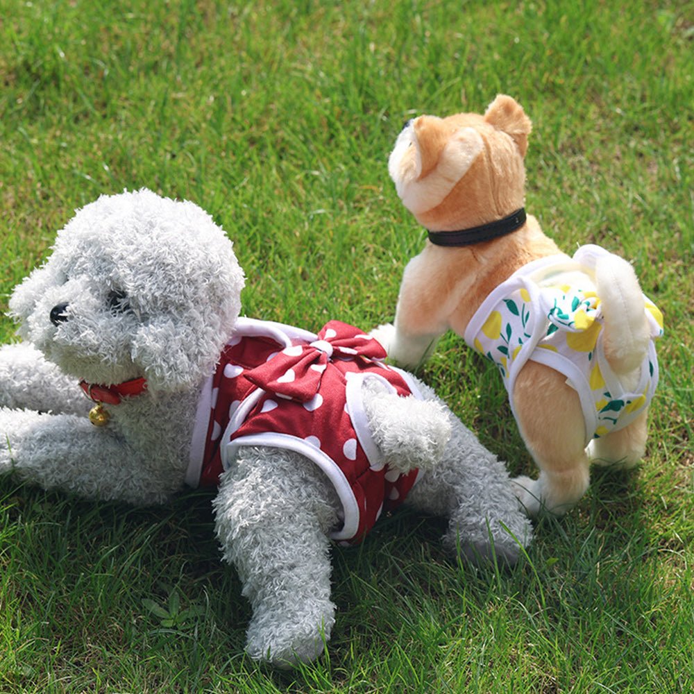 culotte couche pour chienne et chiots - Pro - canin.com