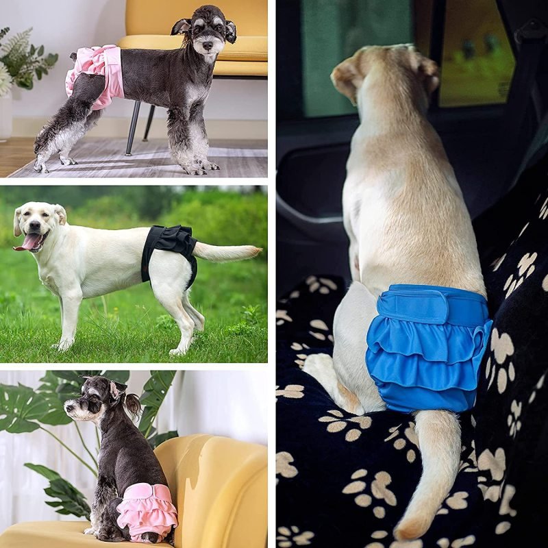 culotte pour chien 4 images