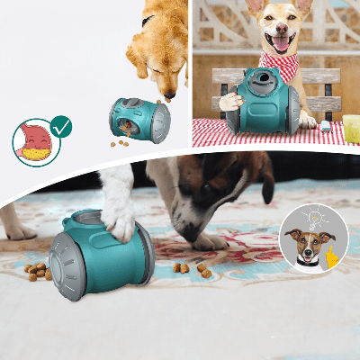 Distributeur de Croquettes pour Chien - BrainChase™ - Turquoise - Pro - canin.com