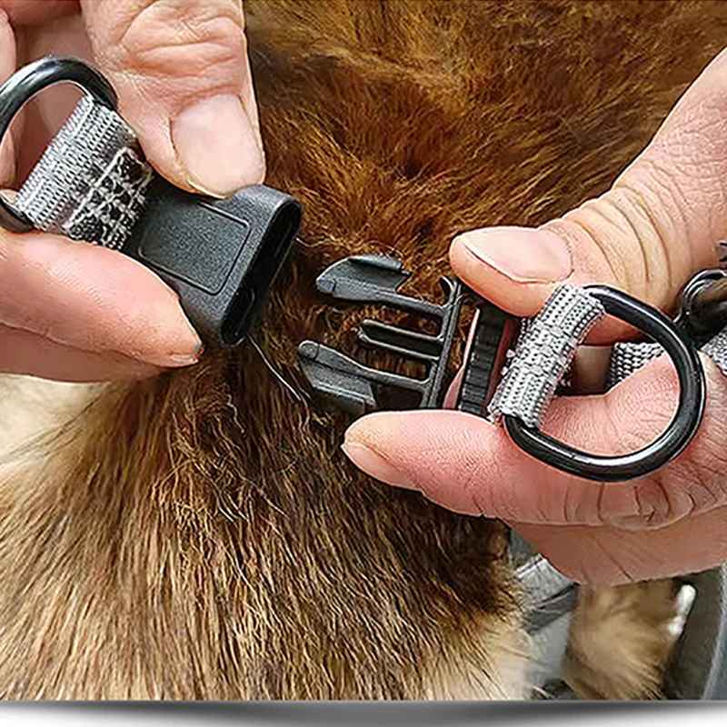 harnais petit chien en Y - Pro - canin.com