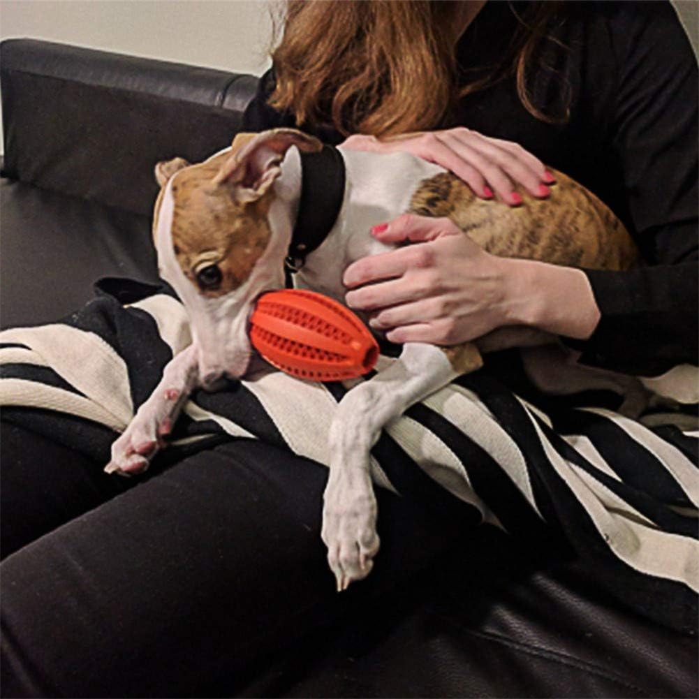 Jouet Interactif pour Chien - ChewBounceBall™ - Rouge - Pro - canin.com