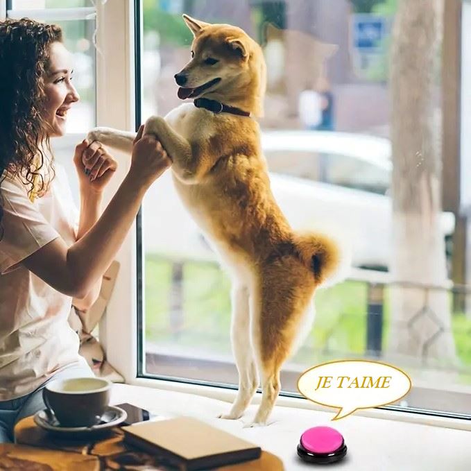 Jouet Interactif pour Chien - ChienParlant™ - Magenta - Pro - canin.com