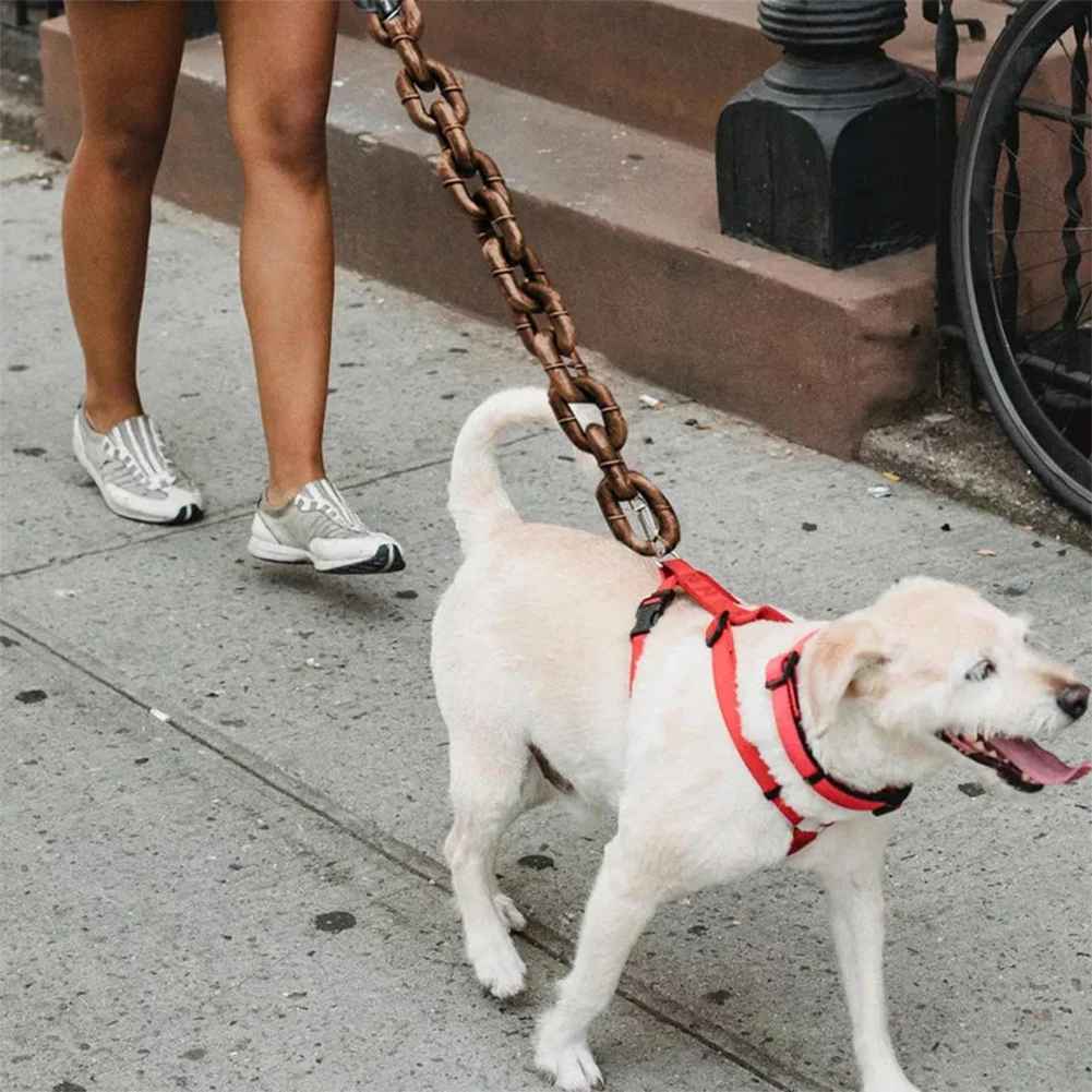 laisse de chien | fausse chaine - Pro - canin.com