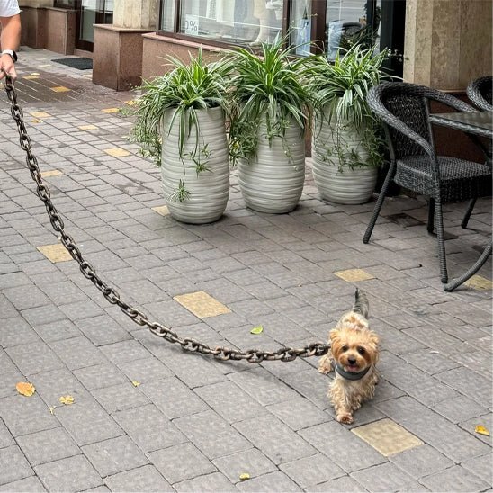 laisse de chien fausse chaine petit toutou