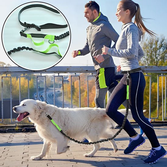 laisse de chien | main libre - Pro - canin.com