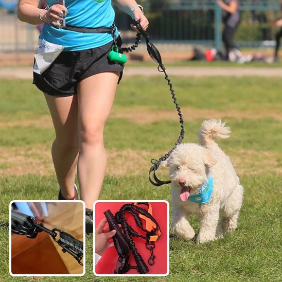 laisse de chien | main libre - Pro - canin.com