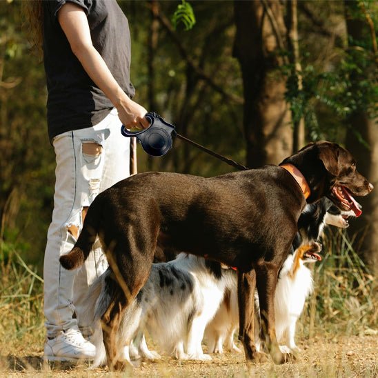 laisse pour chien retractble homme en nature