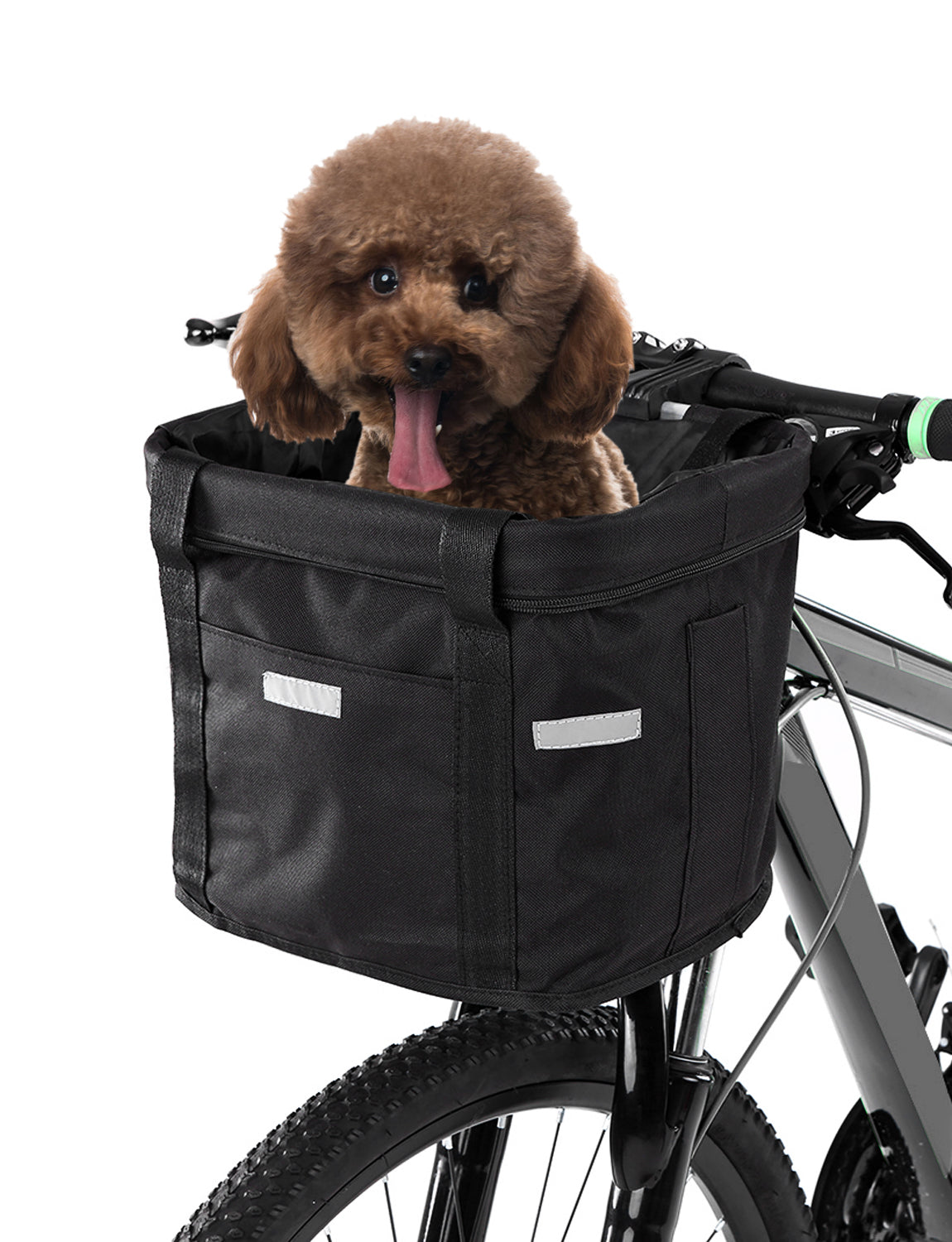 Panier velo chien | Sécurisé et Confortable
