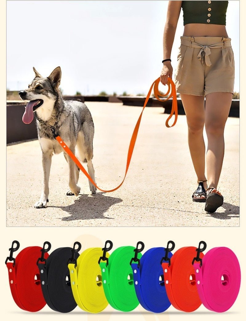 une laisse de chien - Pro - canin.com