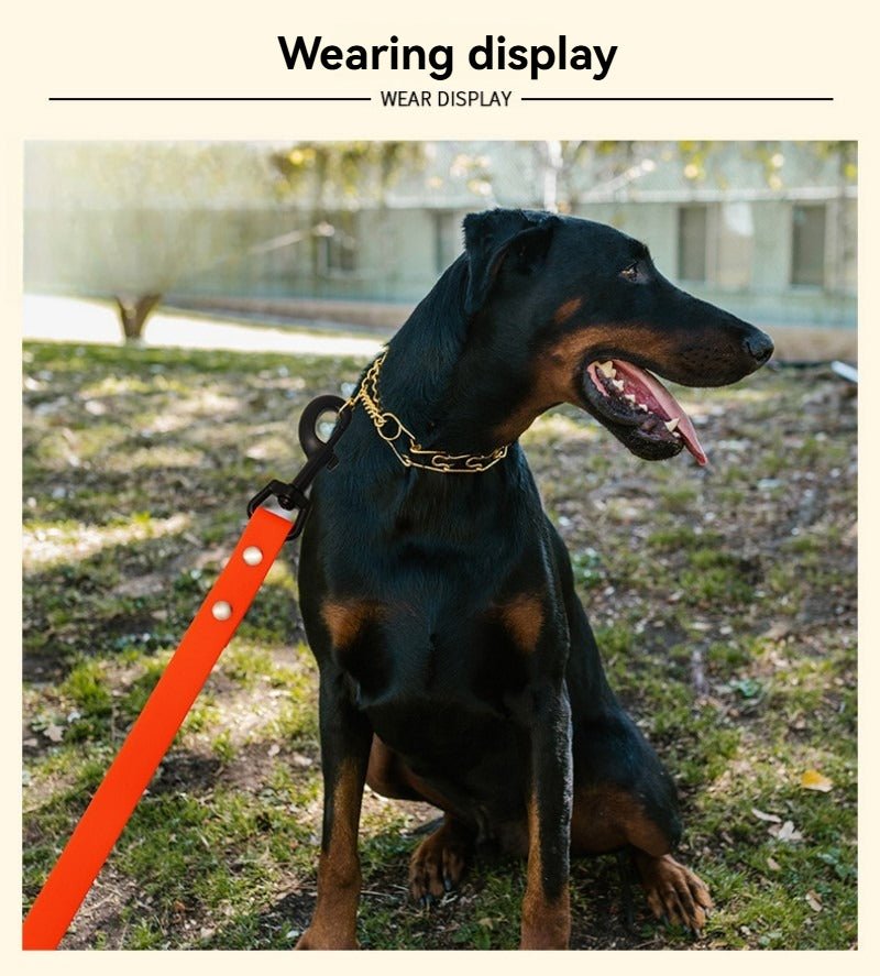 une laisse de chien - Pro - canin.com