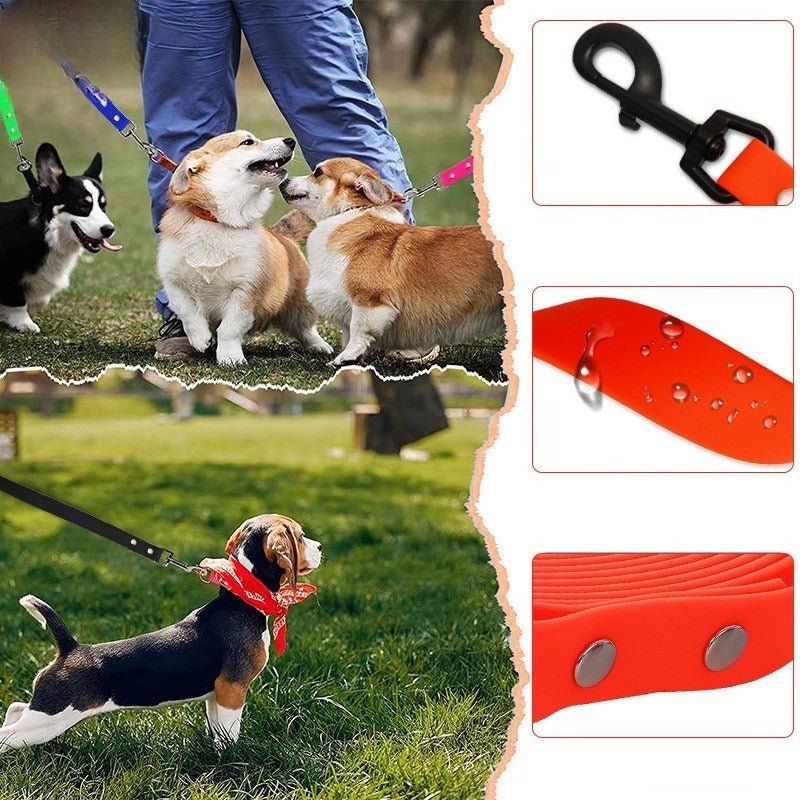 une laisse de chien - Pro - canin.com