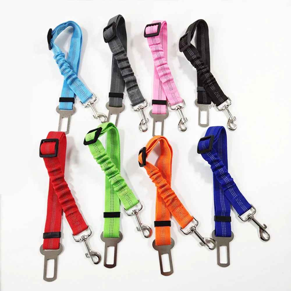 choix de 8 couleurs laisse securite chien