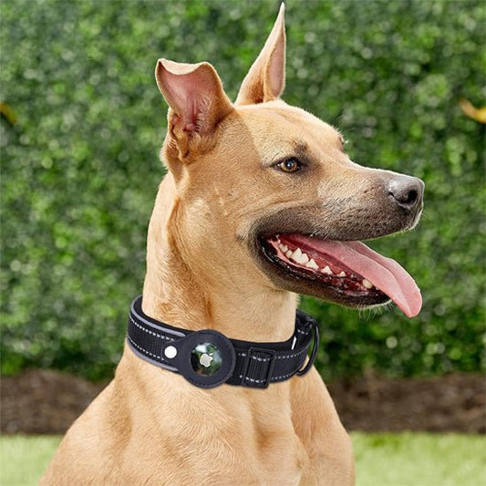 collier apple airtag - Pro - canin.com