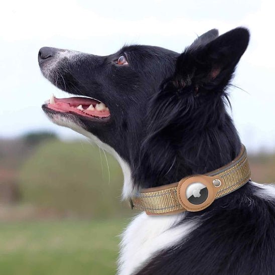 collier apple airtag - Pro - canin.com
