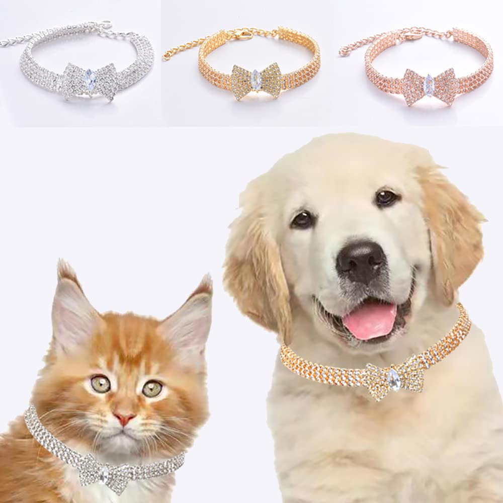 COLLIER AVEC BOUCLE PAPILLON - Pro - canin.com