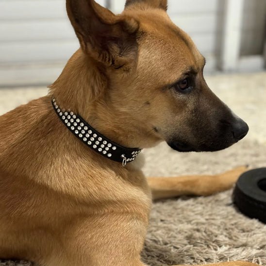 collier avec strass noir