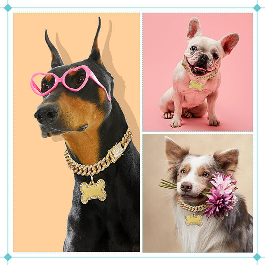 collier chien cubain bijoux 
