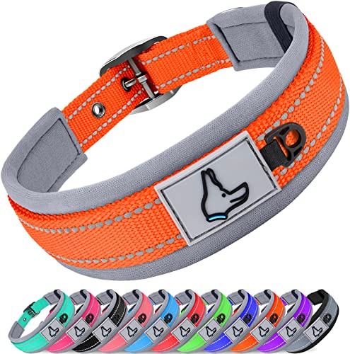 collier chien nylon rembourré néoprène orange