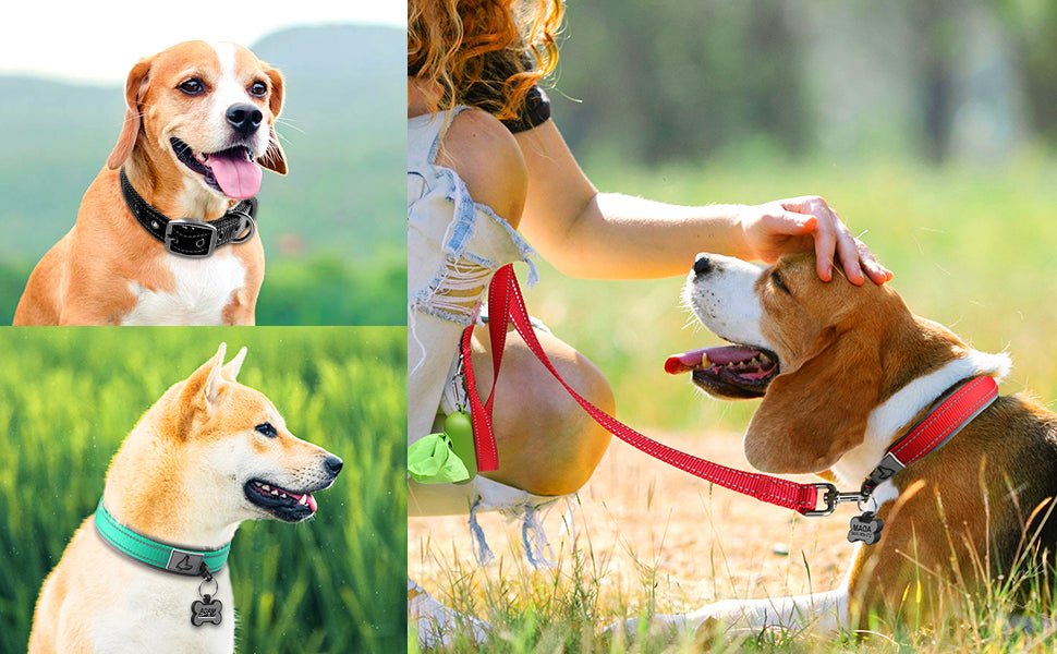 collier chien nylon rembourré néoprène rouge
