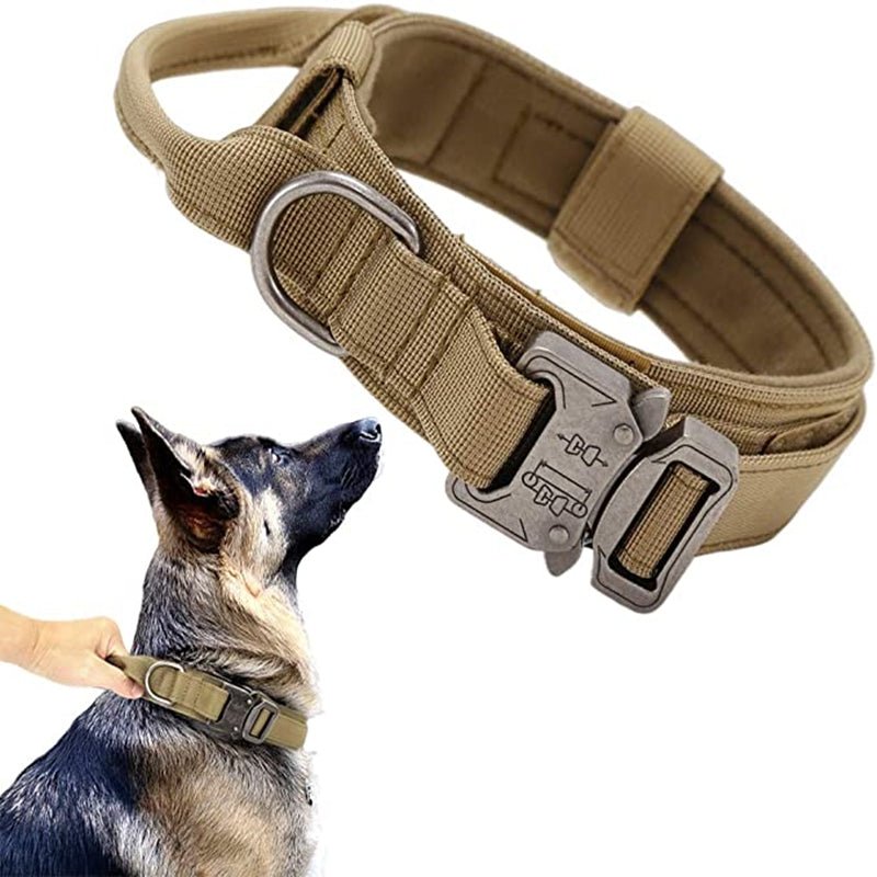 collier et lisse tactique - Pro - canin.com