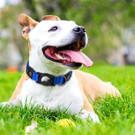 collier GPS AIR TAG lumineux - Pro - canin.com