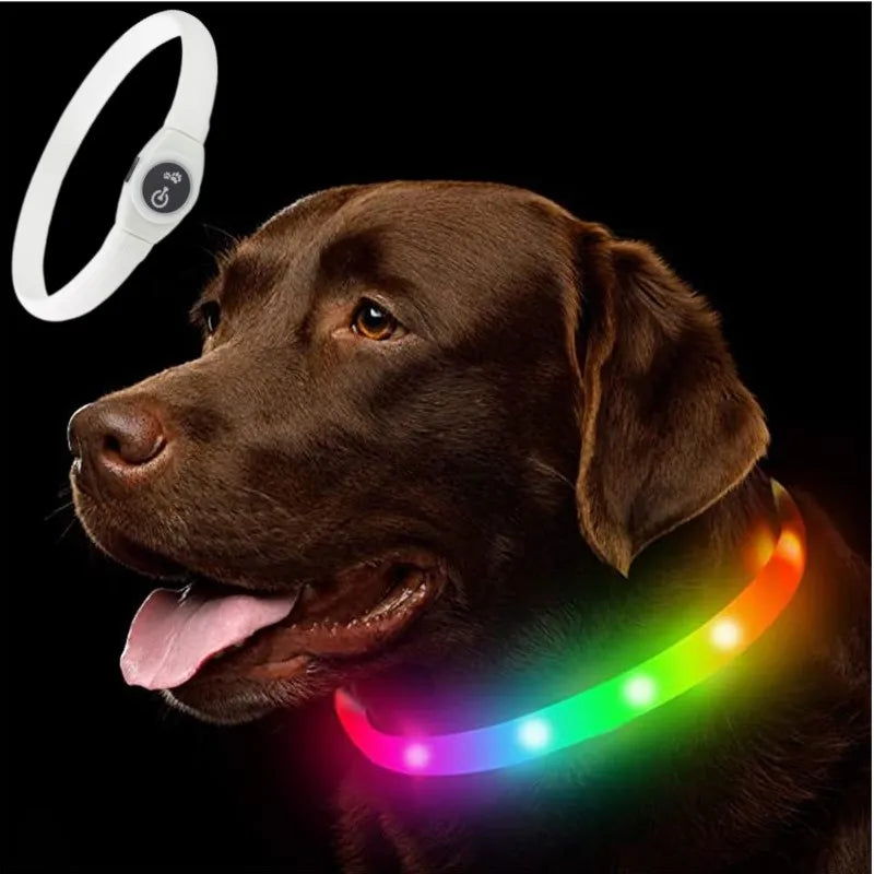 collier pvc lumineux multi couleur