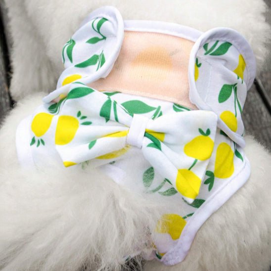 culotte couche pour chienne et chiots - Pro - canin.com