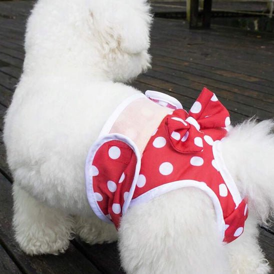 culotte couche pour chienne et chiots - Pro - canin.com