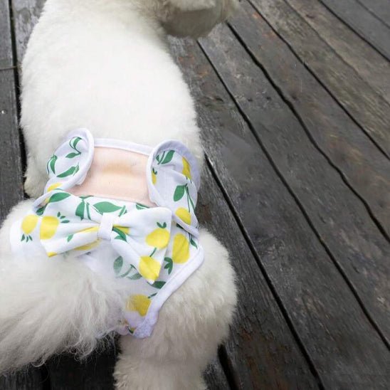 culotte couche pour chienne et chiots - Pro - canin.com