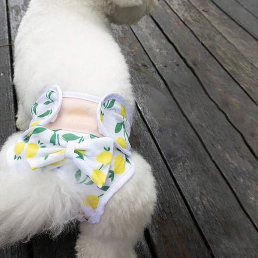 culotte couche pour chienne et chiots - Pro - canin.com