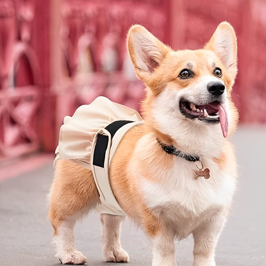 culotte pour chien rose
