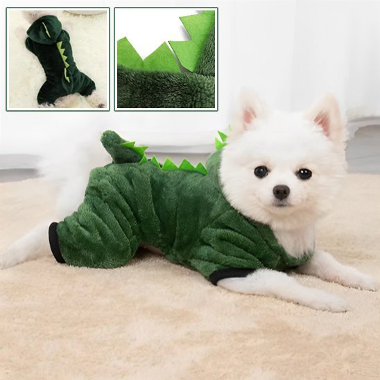 Déguisement chien | dinosaure - Pro - canin.com