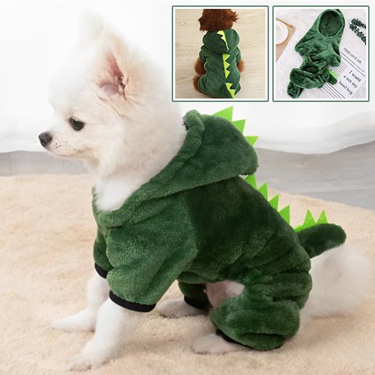 Déguisement chien | dinosaure - Pro - canin.com