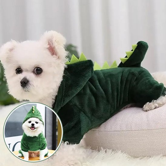 Déguisement chien | dinosaure - Pro - canin.com