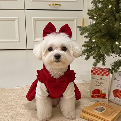 Déguisement chien rouge