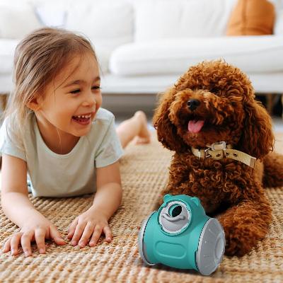 Distributeur de Croquettes pour Chien - BrainChase™ - Turquoise - Pro - canin.com