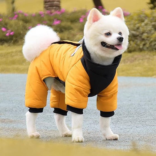 doudoune | d'hiver - Pro - canin.com