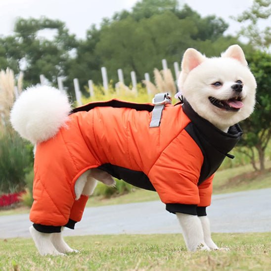 doudoune | d'hiver - Pro - canin.com