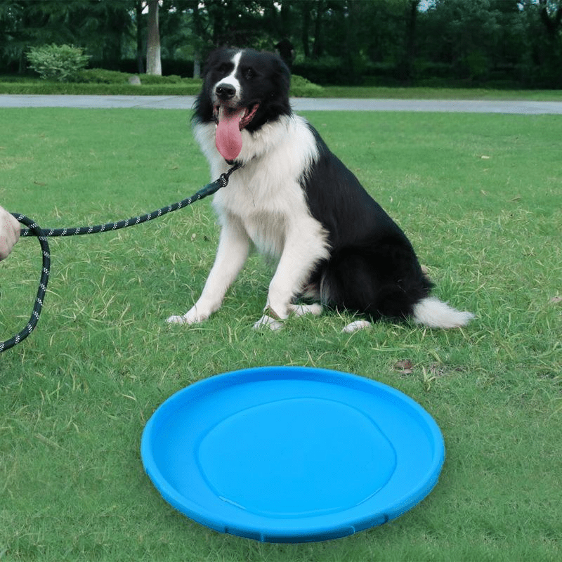 Frisbee Chien - FlyingDiscToys™ - Bleu - Pro - canin.com