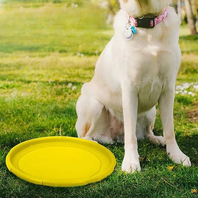 Frisbee Chien - FlyingDiscToys™ - Jaune - Pro - canin.com