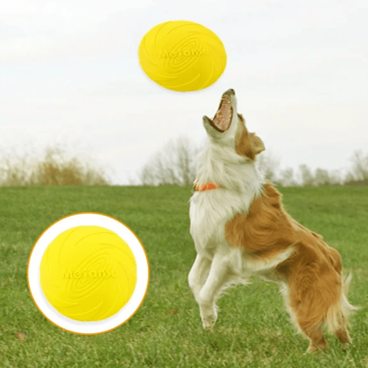 Frisbee Chien - FlyingDiscToys™ - Jaune - Pro - canin.com