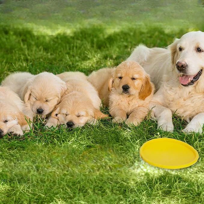 Frisbee Chien - FlyingDiscToys™ - Jaune - Pro - canin.com