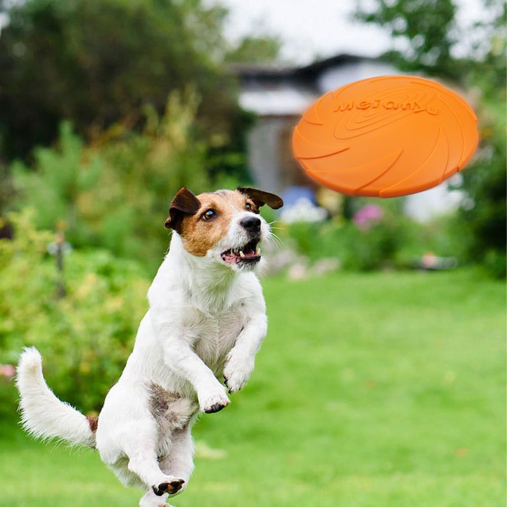Frisbee Chien - FlyingDiscToys™ - Orange - Pro - canin.com