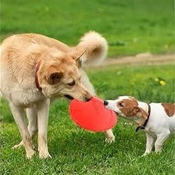 Frisbee Chien - FlyingDiscToys™ - Rouge - Pro - canin.com