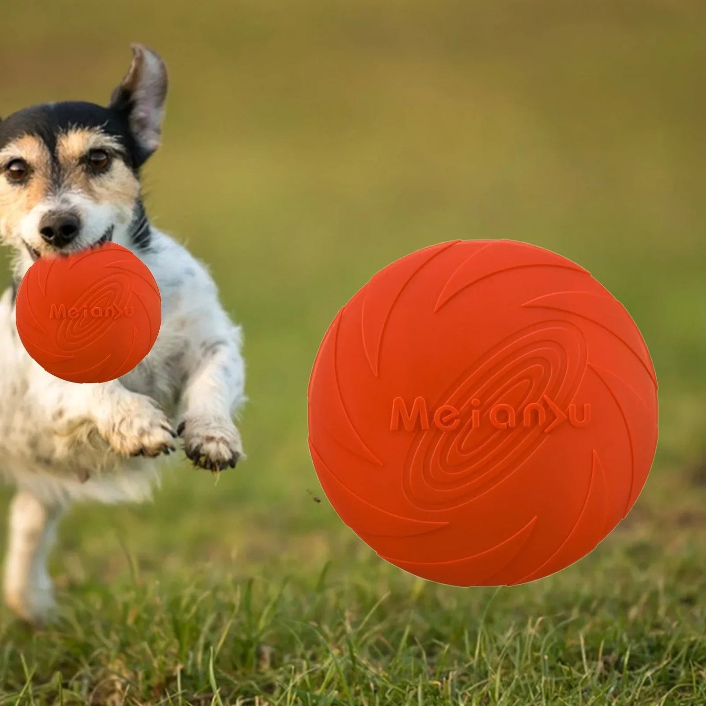 Frisbee Chien - FlyingDiscToys™ - Rouge - Pro - canin.com