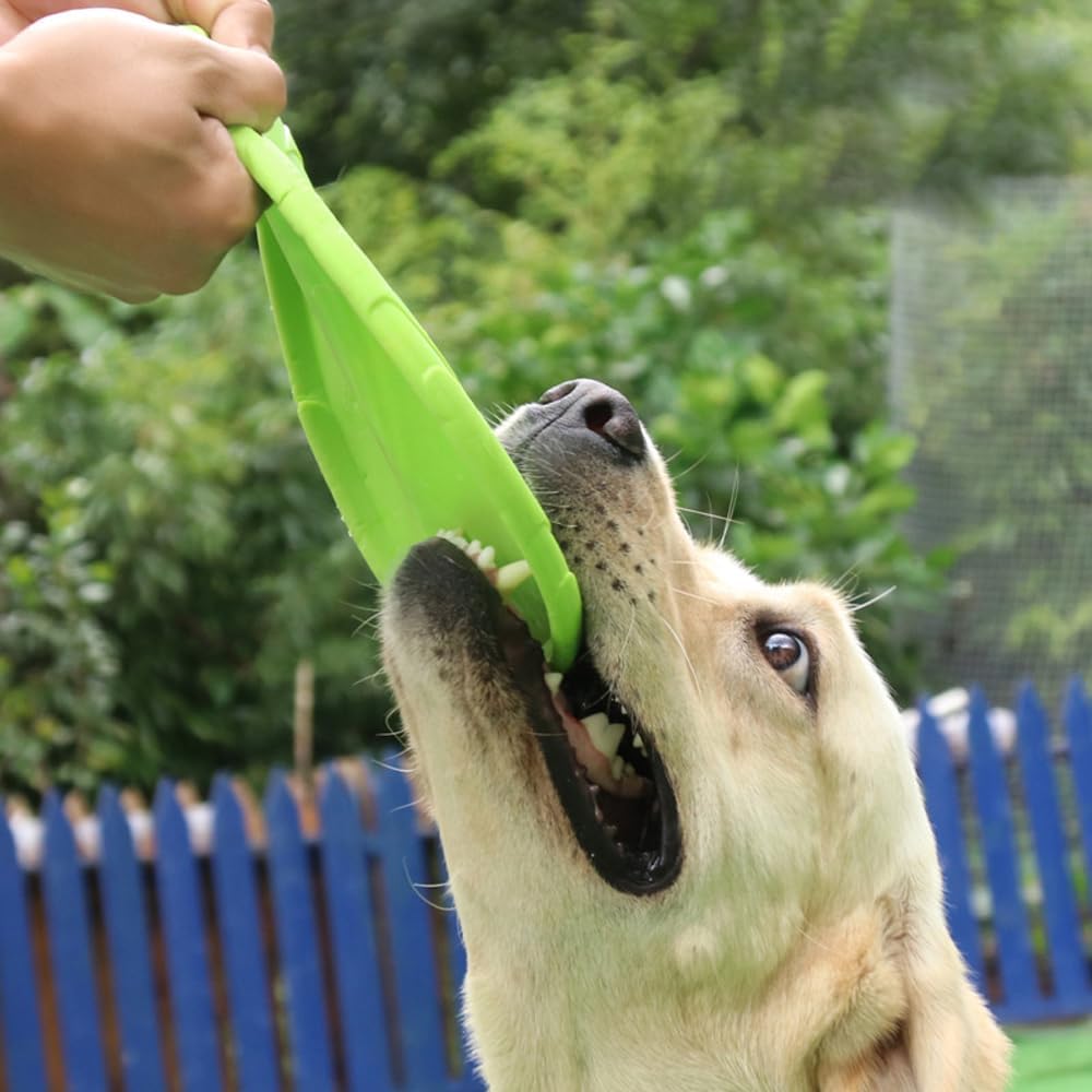 Frisbee Chien - FlyingDiscToys™ - Vert - Pro - canin.com