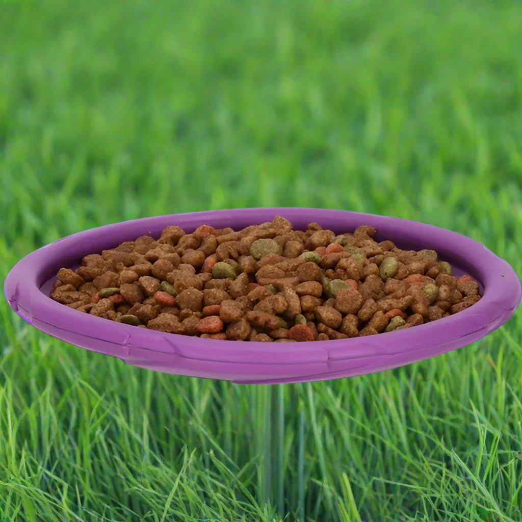 Frisbee Chien - FlyingDiscToys™ - Violet - Pro - canin.com