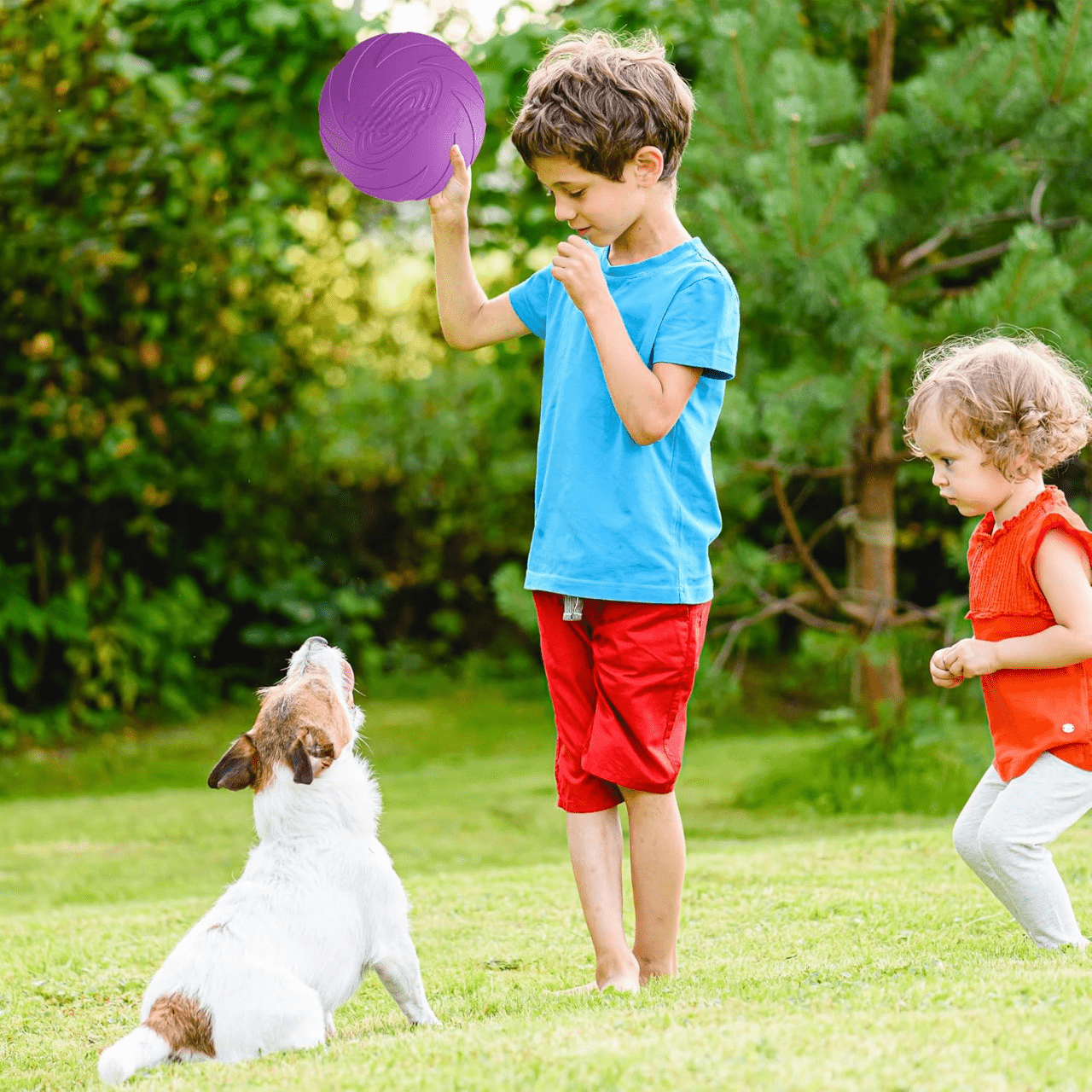 Frisbee Chien - FlyingDiscToys™ - Violet - Pro - canin.com