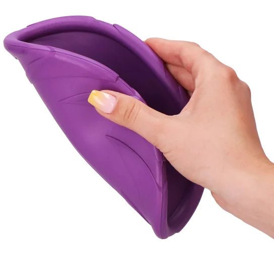 Frisbee Chien - FlyingDiscToys™ - Violet - Pro - canin.com