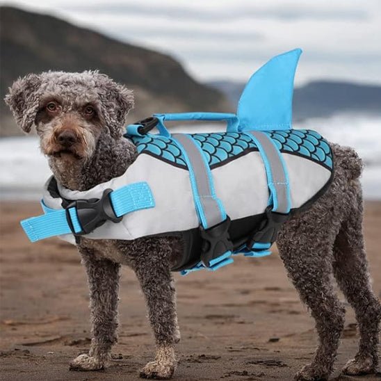 gilet de sauvetage aileron de requin bleu